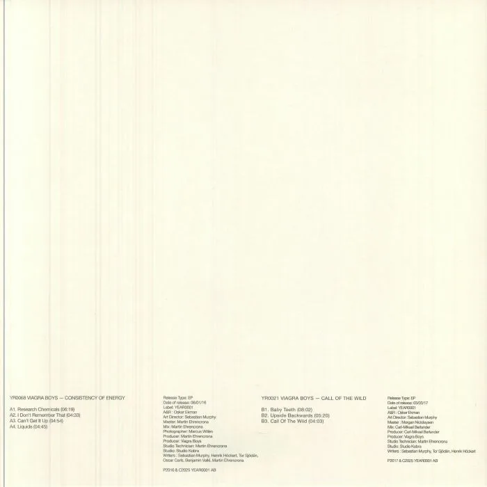 Back cover — VIAGRA BOYS — Consistency Of Energy / Call Of The Wild (reissue)