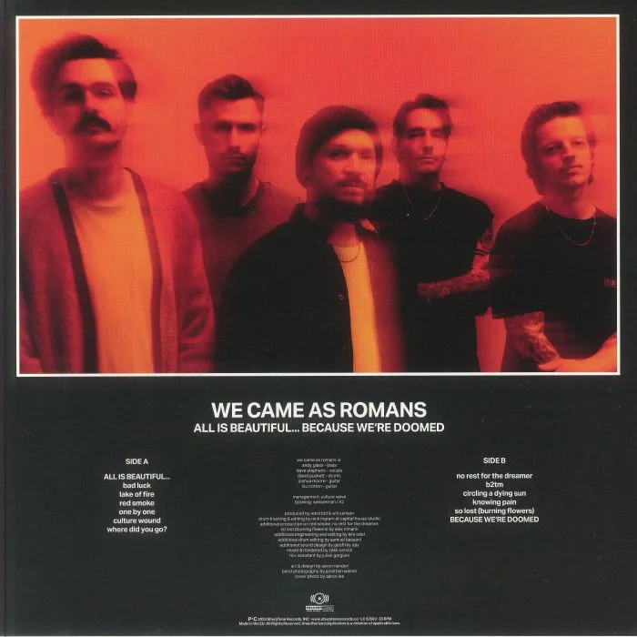 Back cover — WE CAME AS ROMANS — All Is Beautiful Because We Are Doomed