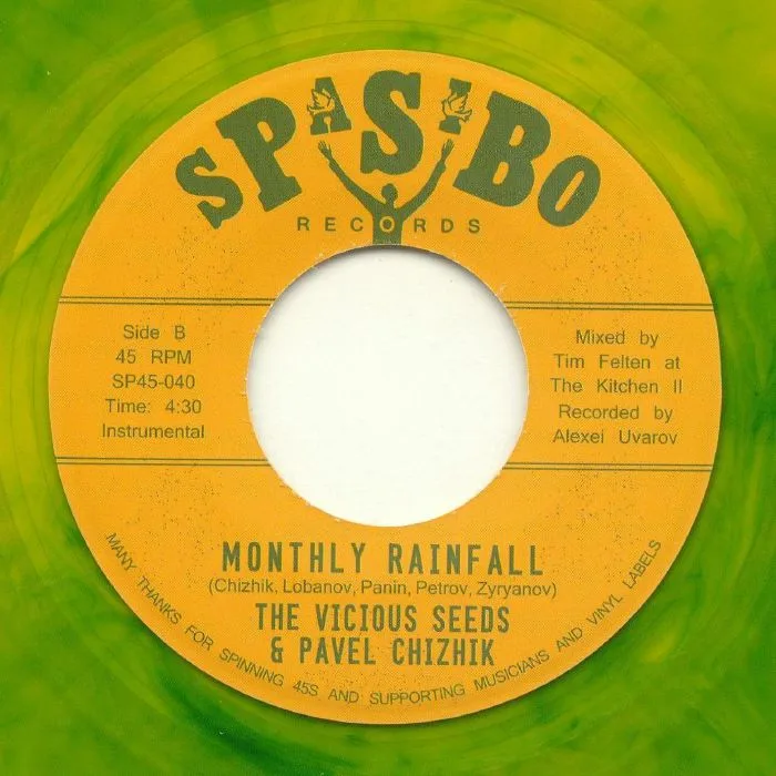 Back cover — The VISCIOUS SEEDS / PAVEL CHIZHIK — Village Hassle