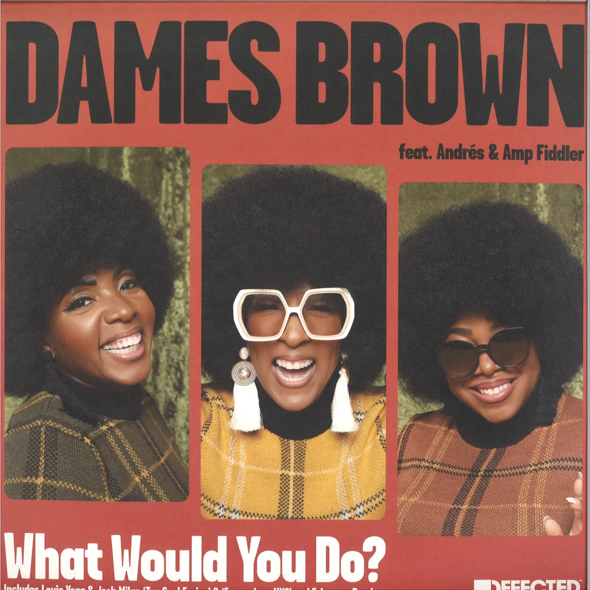 Dames Brown feat. Andrés & Amp Fiddler — What Would You Do? (Remixes)