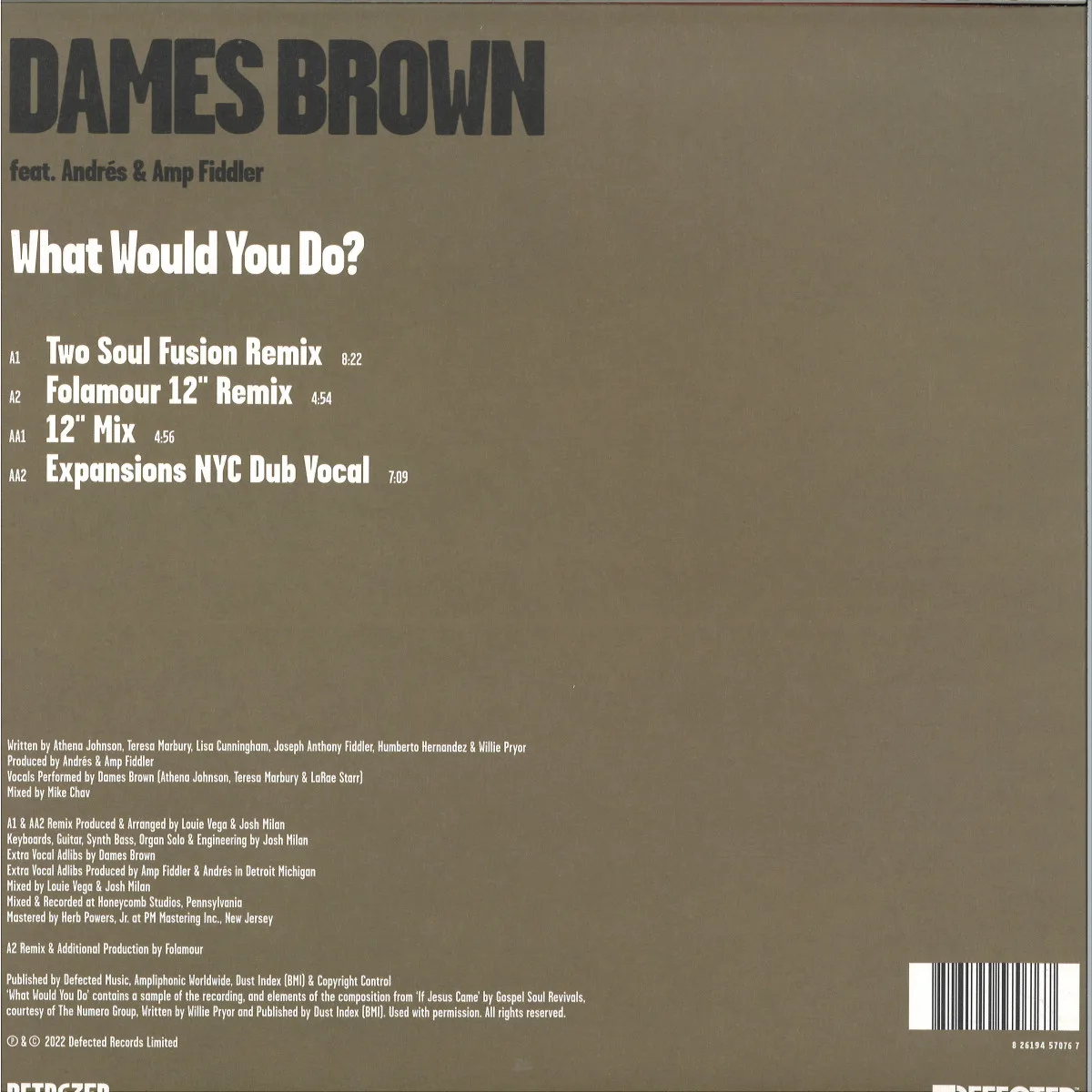 Back cover — Dames Brown feat. Andrés & Amp Fiddler — What Would You Do? (Remixes)