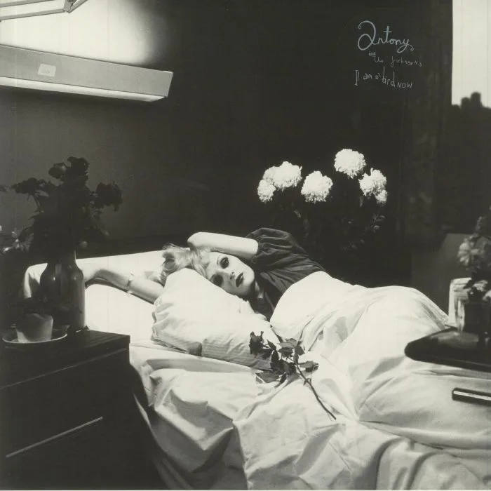 ANTONY & THE JOHNSONS — I Am A Bird Now