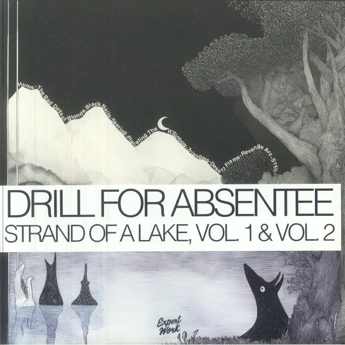 Обратная сторона обложки — DRILL FOR ABSENTEE — Strand Of A Lake Vol 1 & 2
