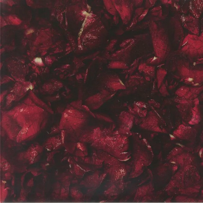 Обратная сторона обложки — MAKE THEM SUFFER — Neverbloom