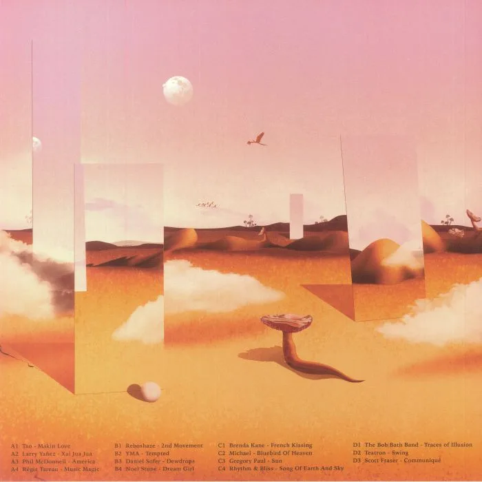 Back cover — SKYRAGER / VARIOUS — Traces Of Illusion