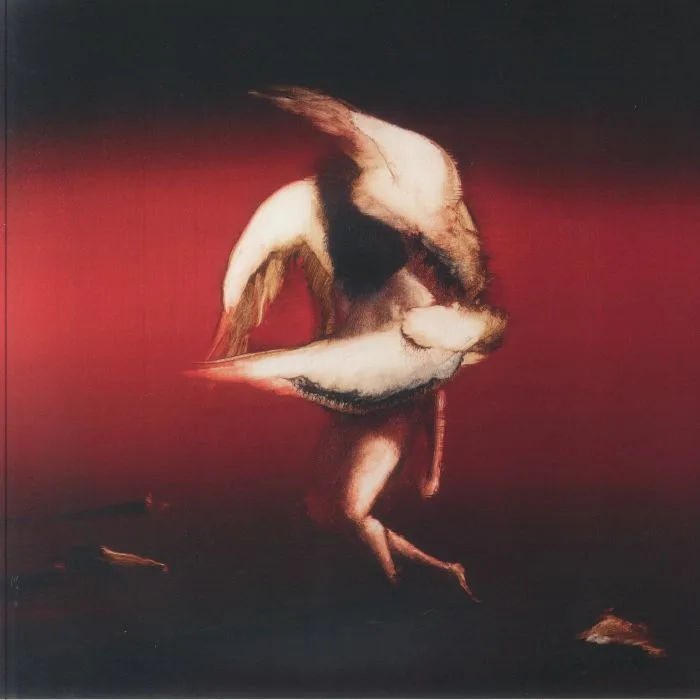 MARUJA — Pain To Power