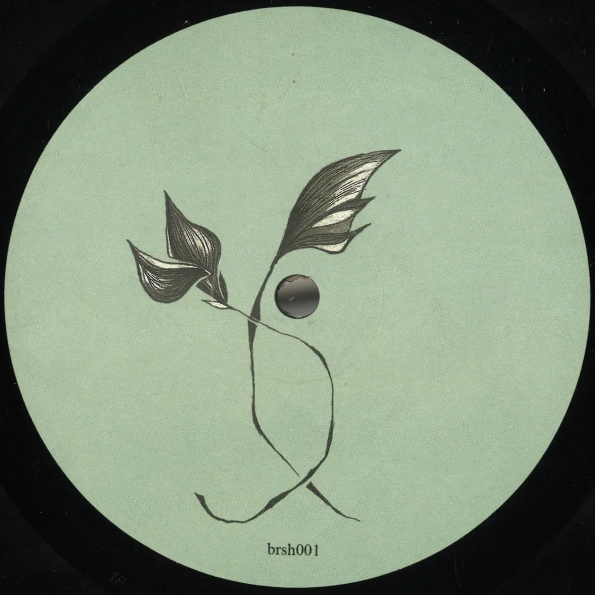 Petroxy — Better