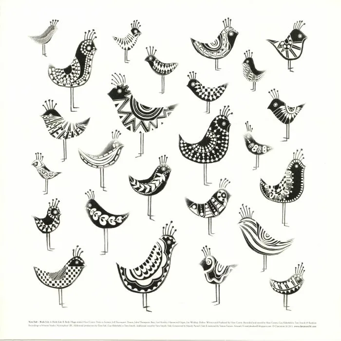 Back cover — TORN SAIL — Birds (reissue)
