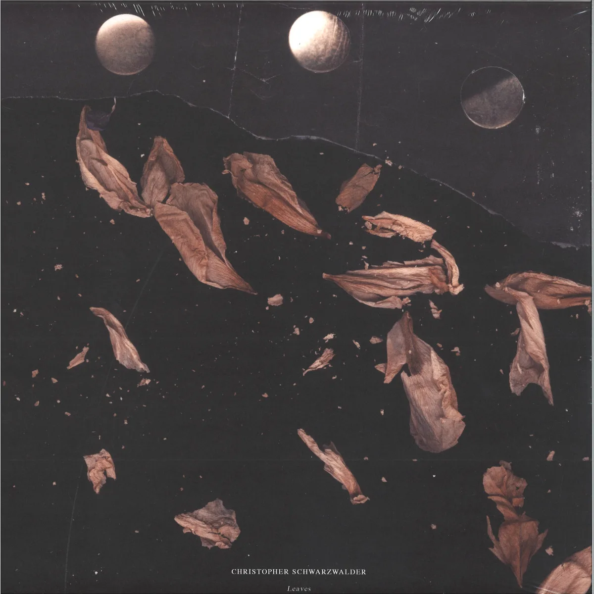 Christopher Schwarzwalder — Leaves