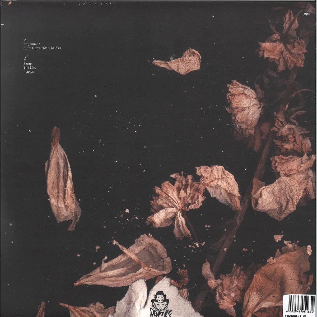 Back cover — Christopher Schwarzwalder — Leaves
