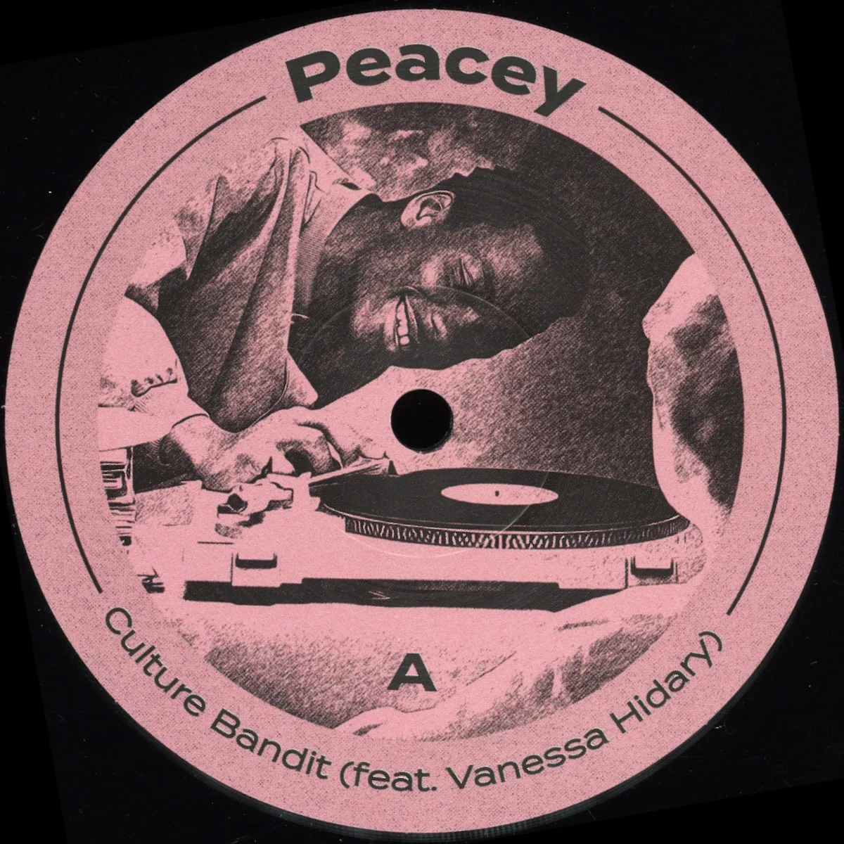 Лицевая сторона обложки — Peaceyfeat.Vanessa Hidary — Culture Bandit