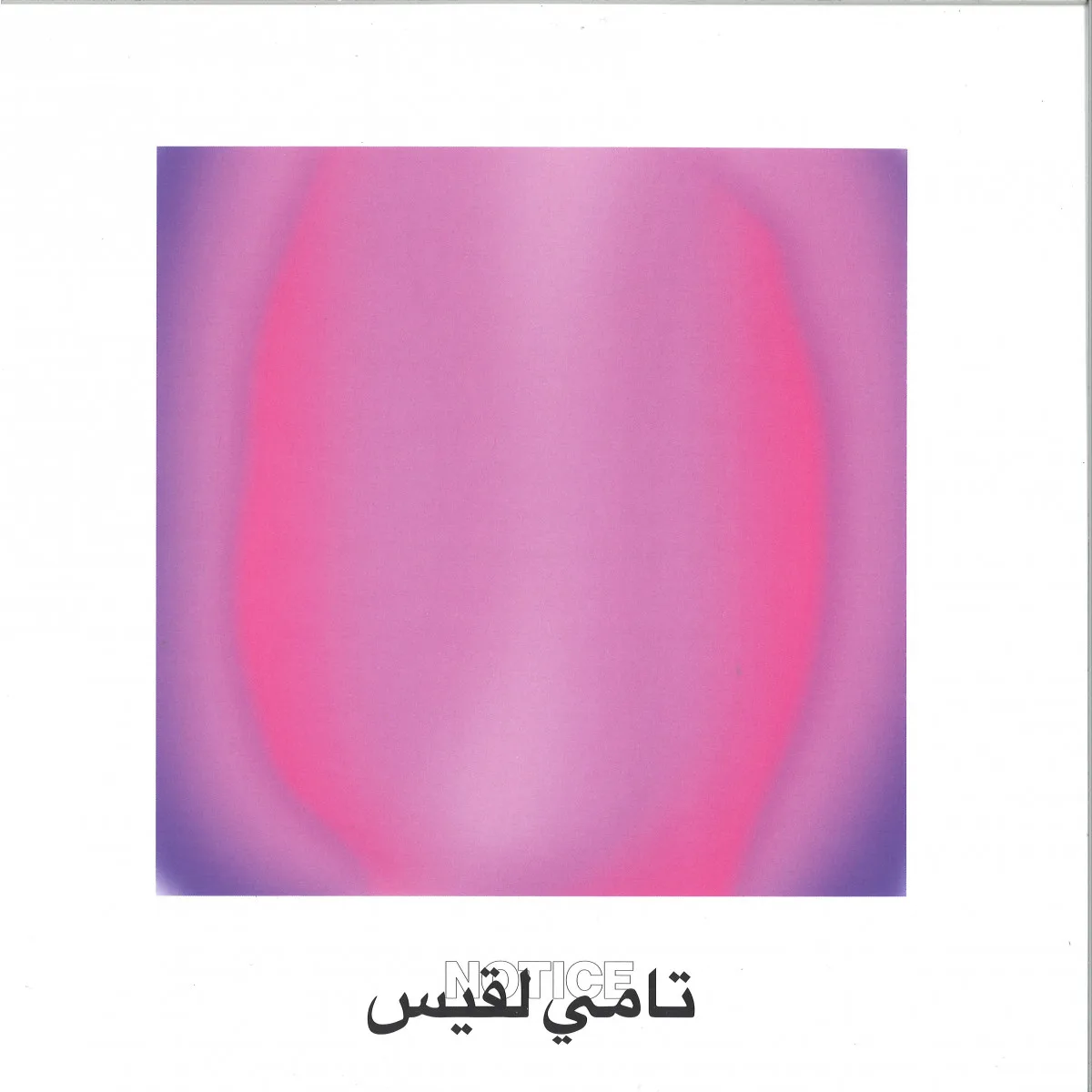 Tammy Lakkis — Notice