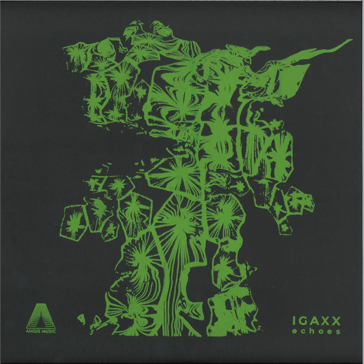 Igaxx — Echoes