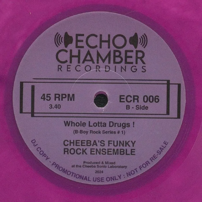 Обратная сторона обложки — CHEEBA'S FUNKY ROCK ENSEMBLE — Good Thing Going (Put It On A Record)