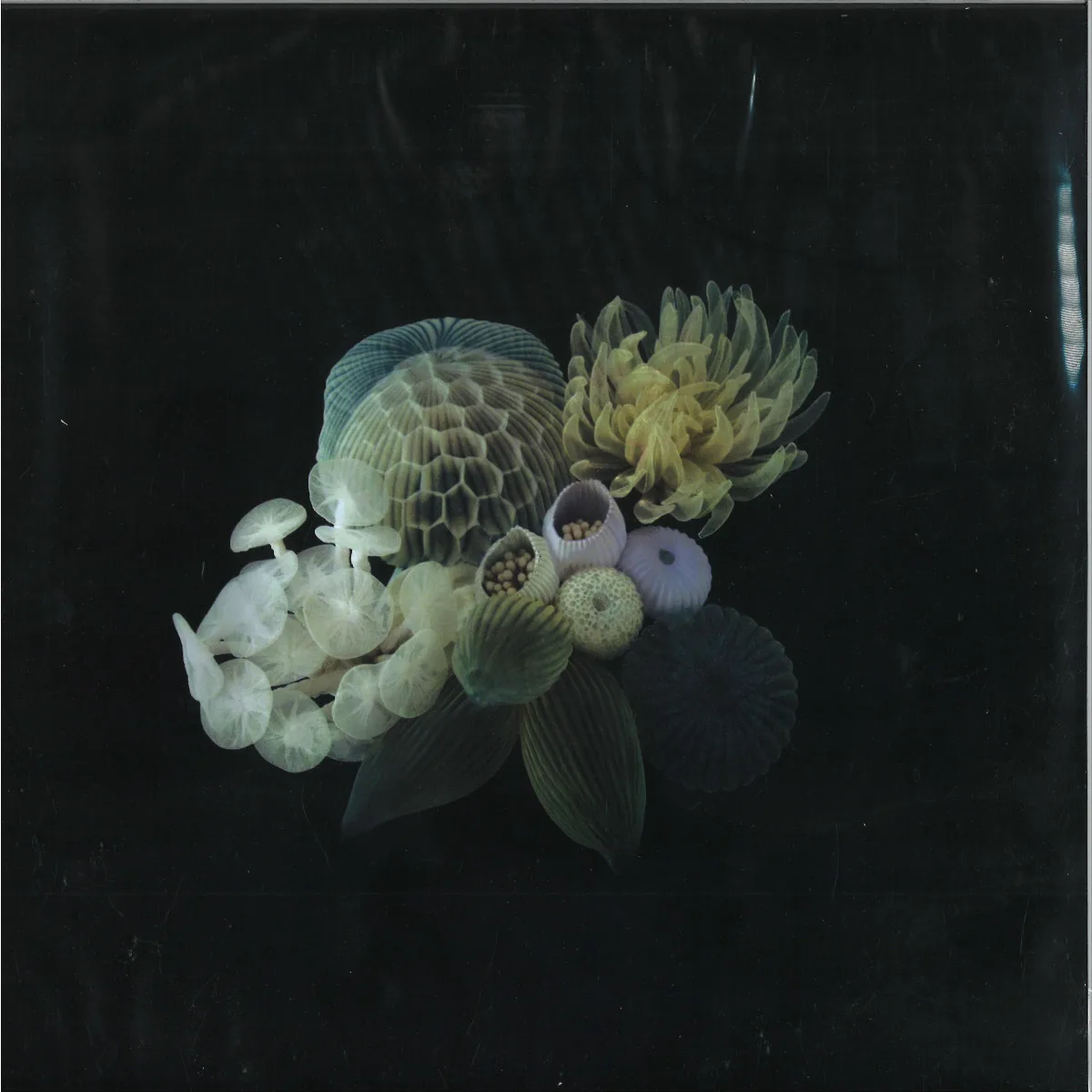 Лицевая сторона обложки — Low Island — Life In Miniature LP