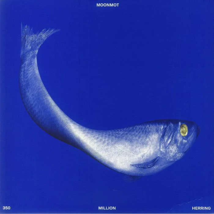 MOONMOT — 350 Million Herring