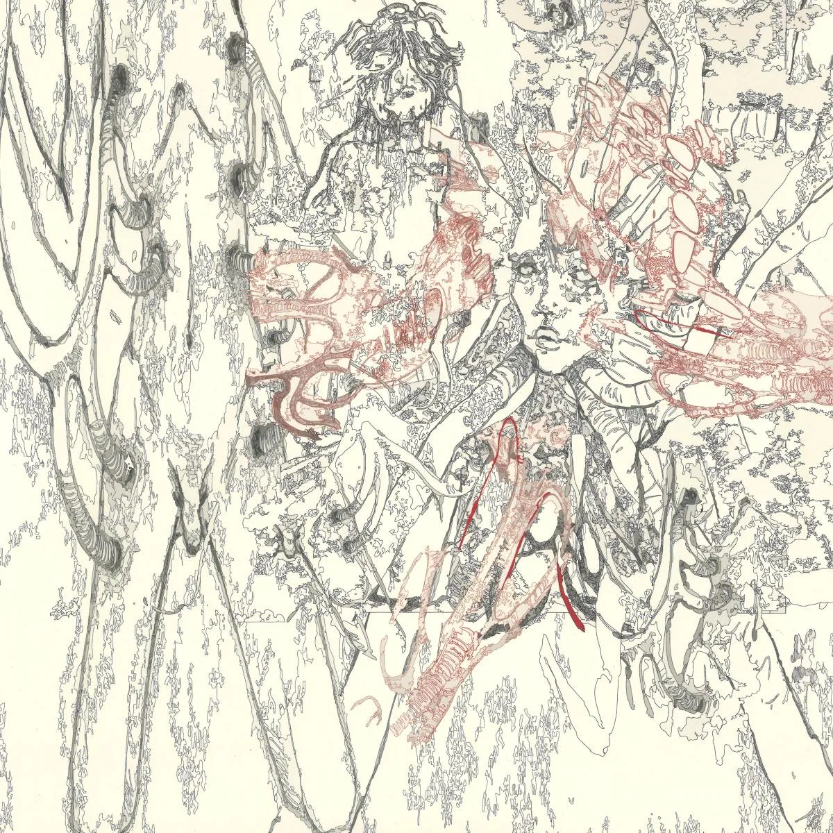 Afa (Acid Folk Alleanza) — Manipolazioni (Estratti Audioalchemici) LP
