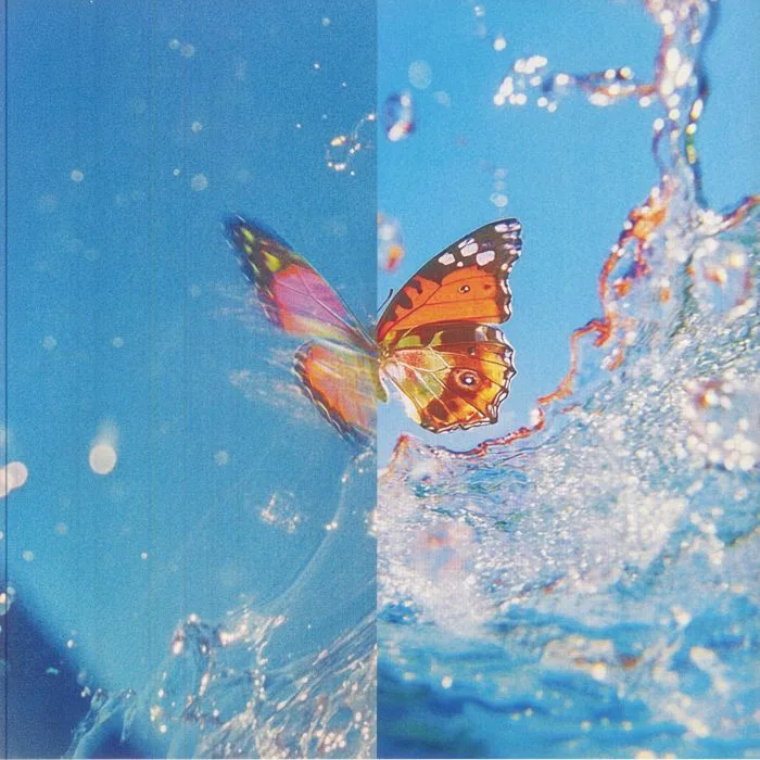 Back cover — DAPHNI — Butterfly