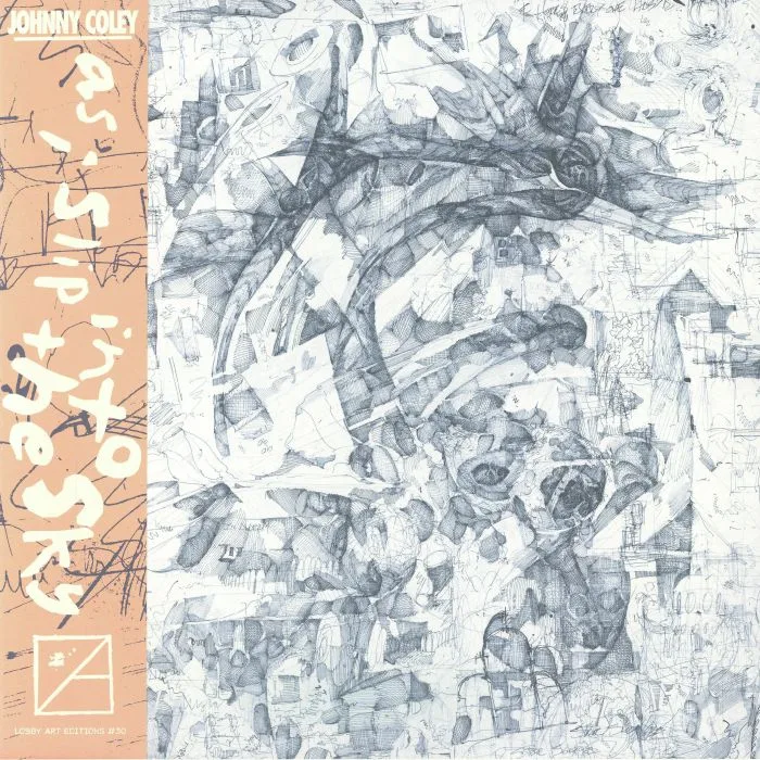 Johnny COLEY — As I Slip Into The Sky