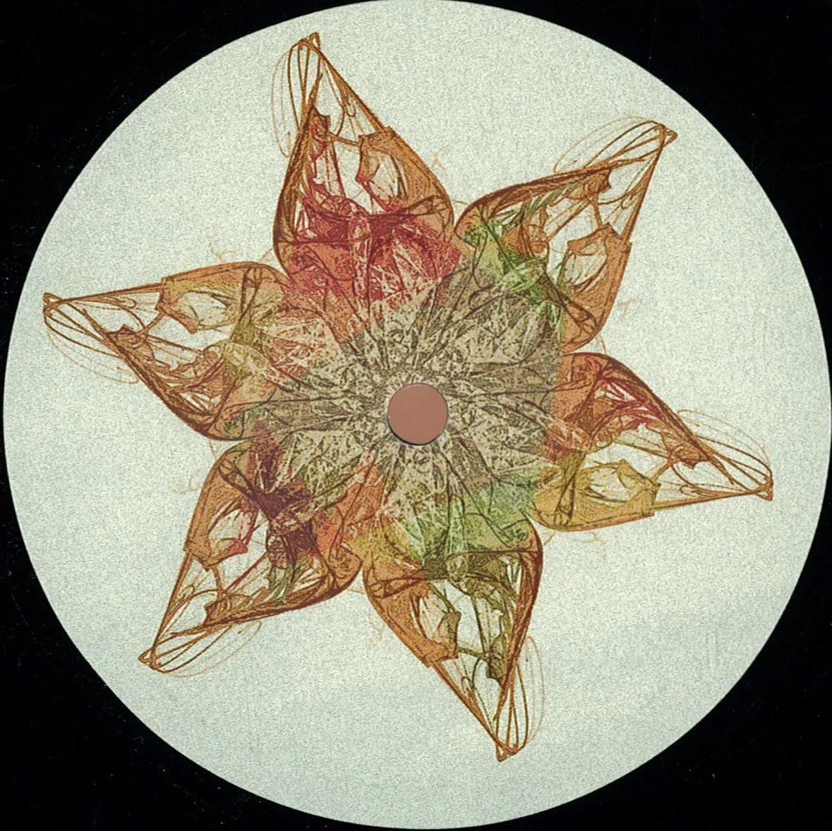 Front cover — Wallflower — Manifest
