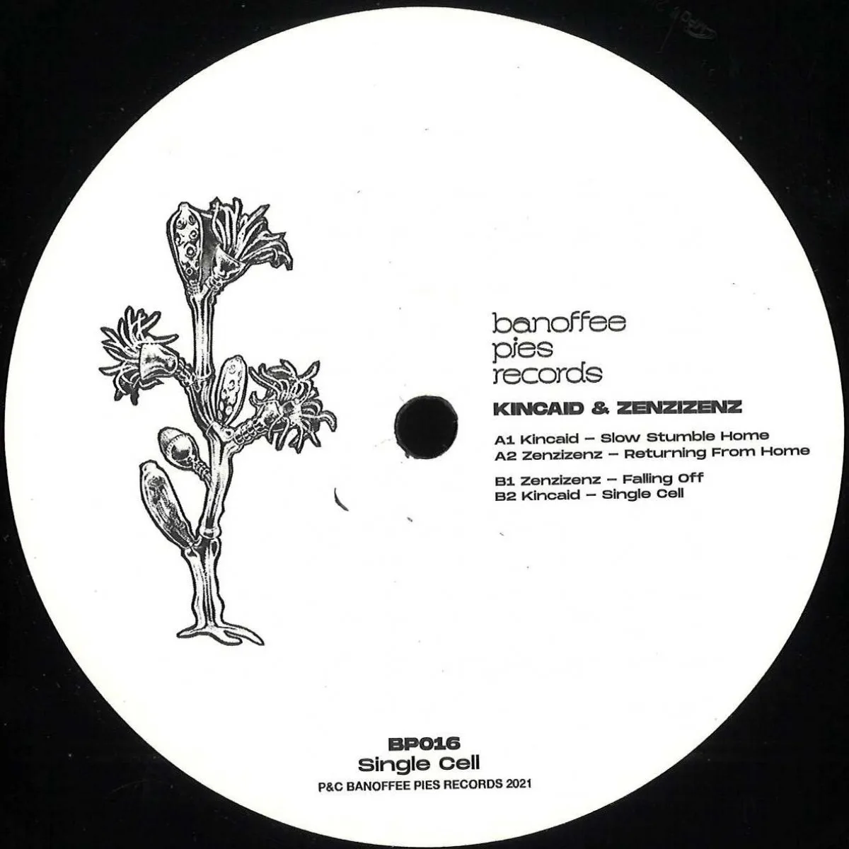 Kincaid&Zenzizenz — Single Cell