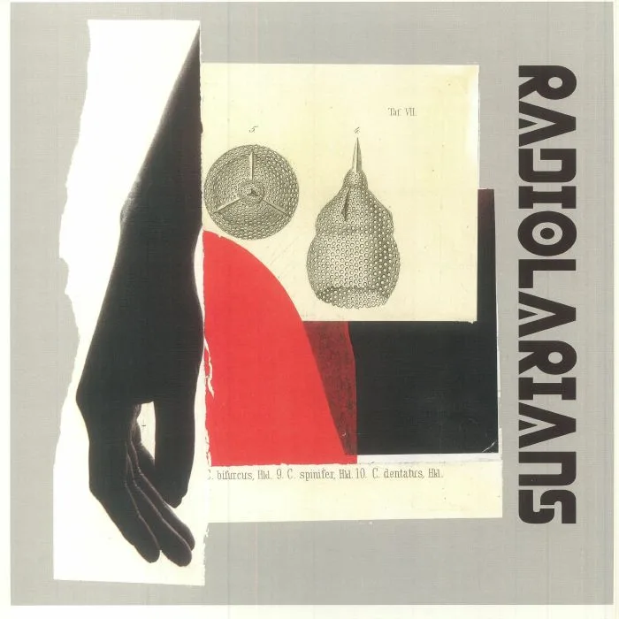RADIOLARIANS — Radiolarians
