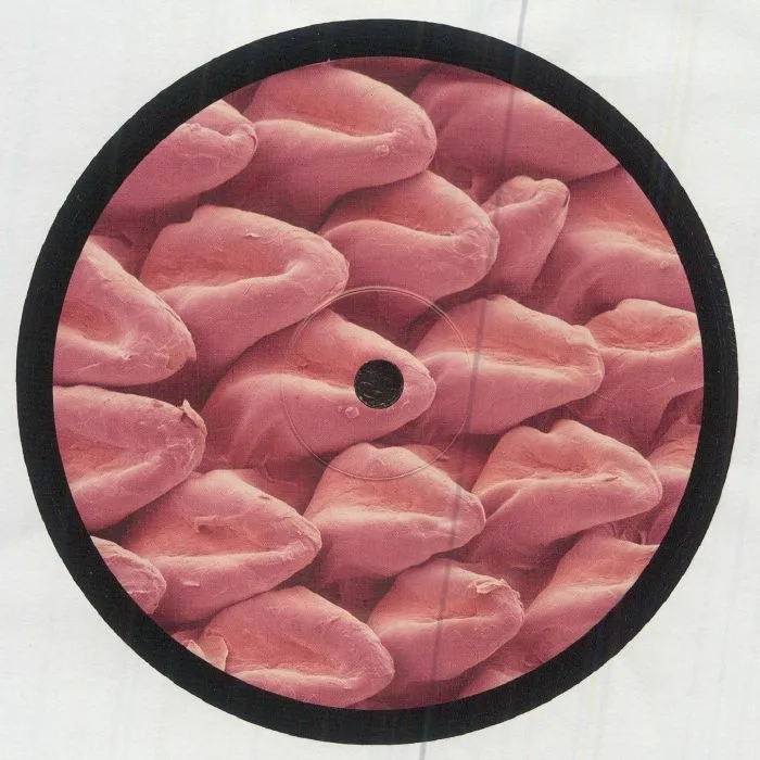 Front cover — FELICIE / LARS HUISMANN / KABAY / STEVE REDHEAD / FHASE 87 / VROV — Expansions VA