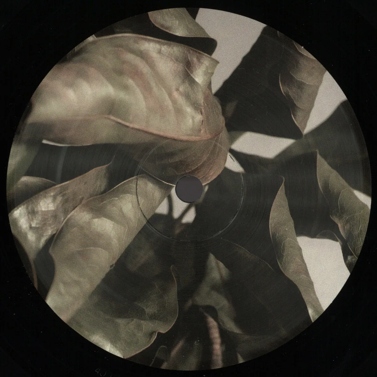 Lee Holman — The Honesty Of Time
