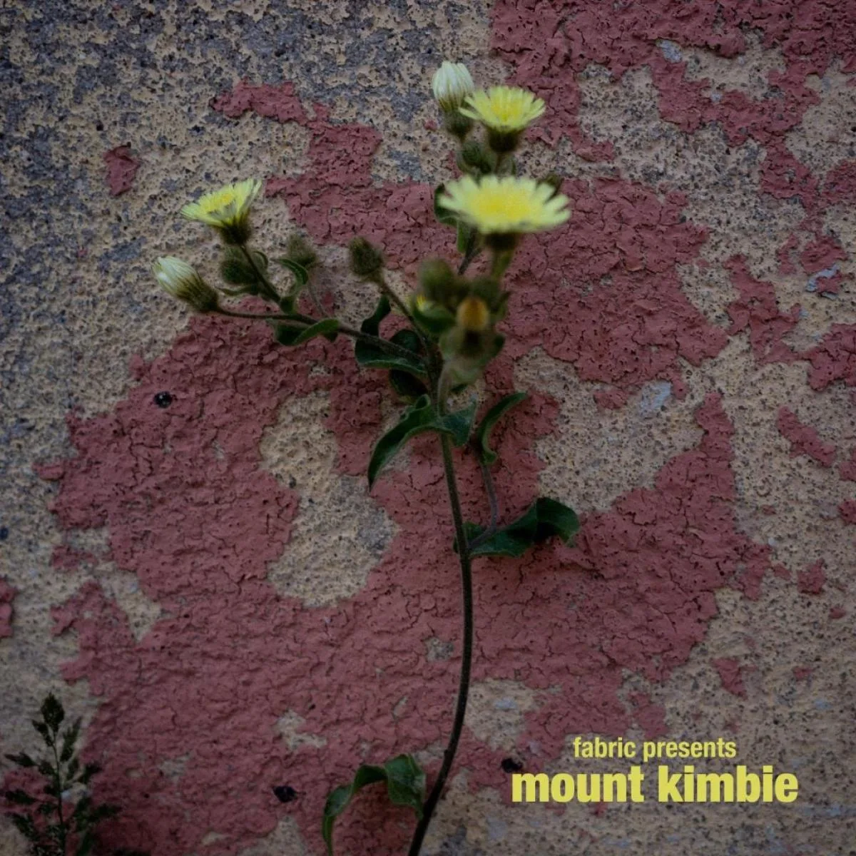 Mount Kimbie — fabric presents Mount Kimbie LP