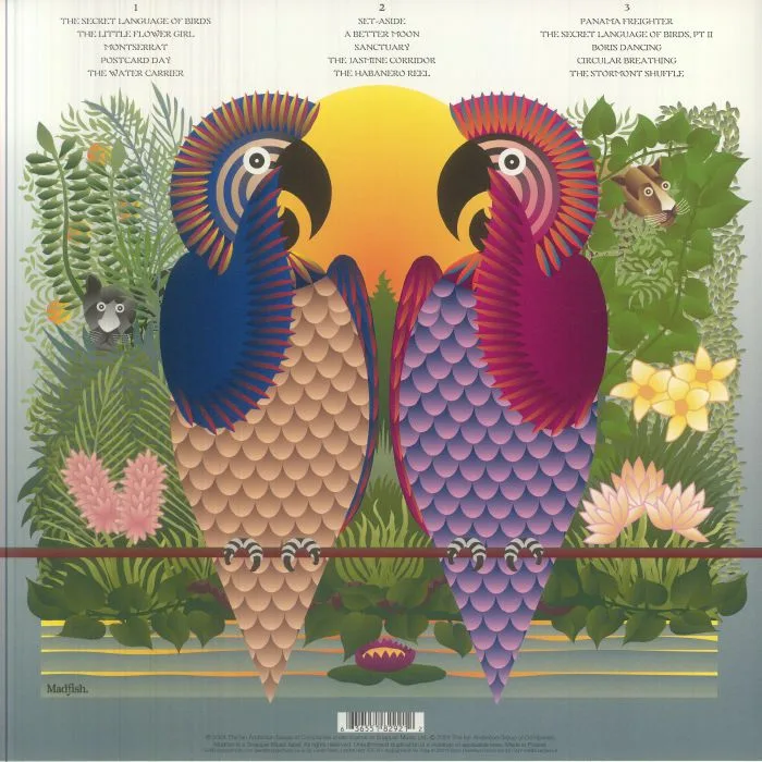 Обратная сторона обложки — Ian ANDERSON — The Secret Language Of Birds