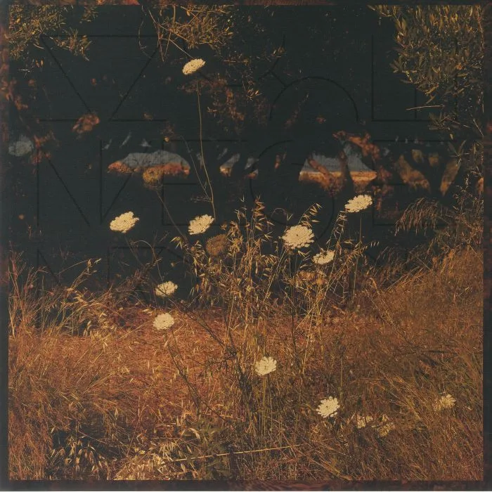 SZUN WAVES — Earth Patterns