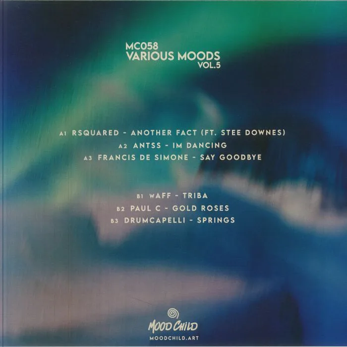 Back cover — RSQUARED / ANTSS / FRANCIS DE SIMONE / WAFF / PAUL C / DRUMCAPELLI — Various Moods Vol 5
