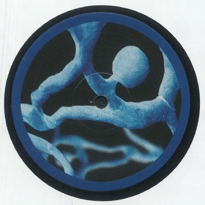 Back cover — OYE MANNY — Living Water