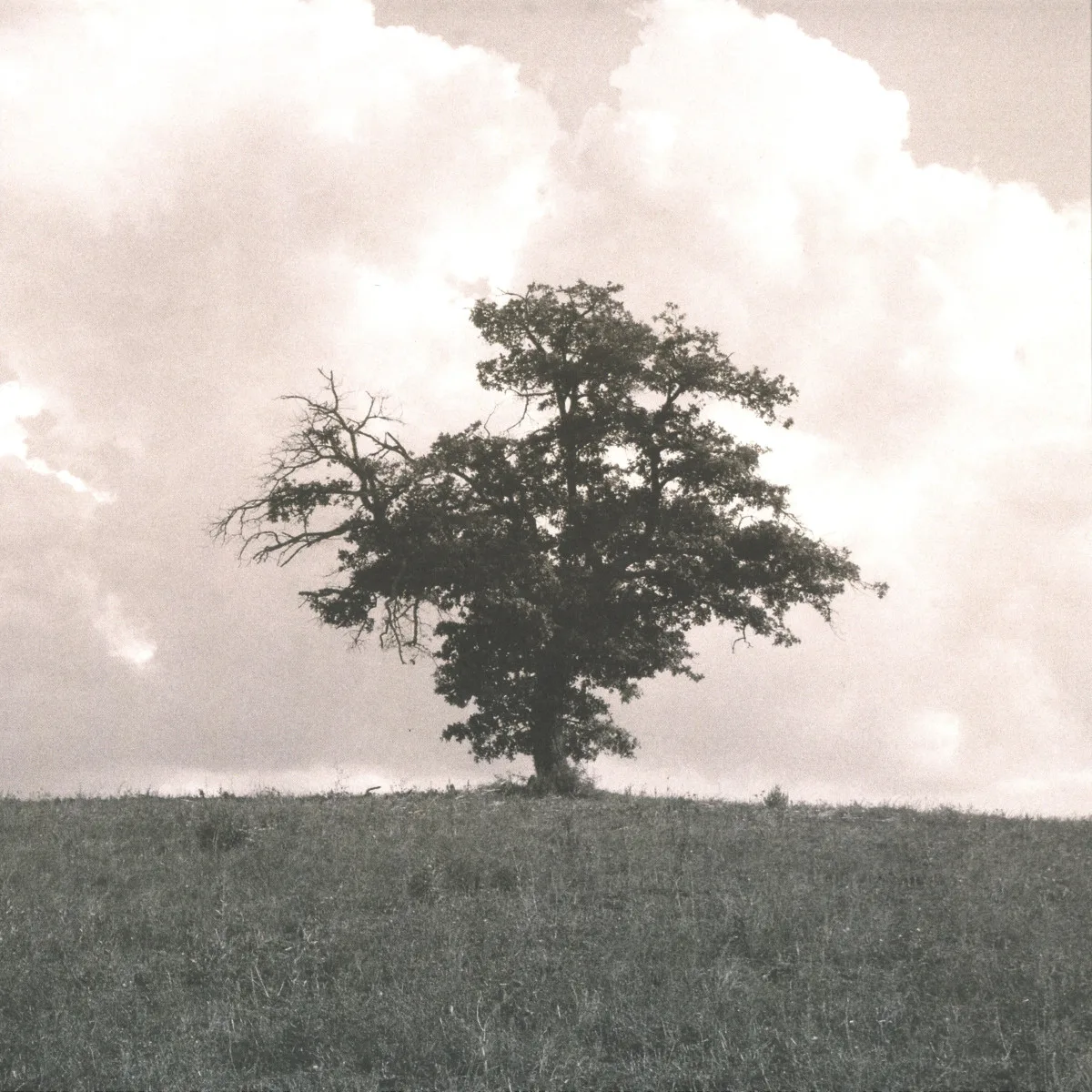 Eversines — In Vivid Motion LP 2x12"