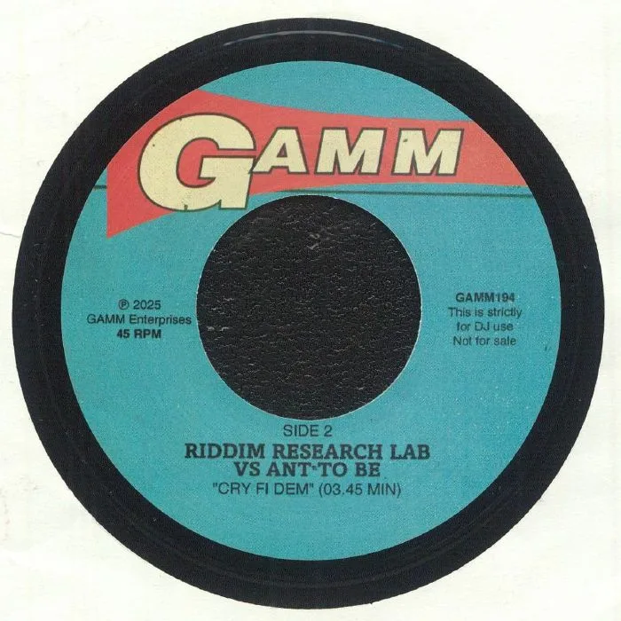 Обратная сторона обложки — RIDDIM RESEARCH LAB vs LAY FAR / ANT TO BE — Cry Fi Dem