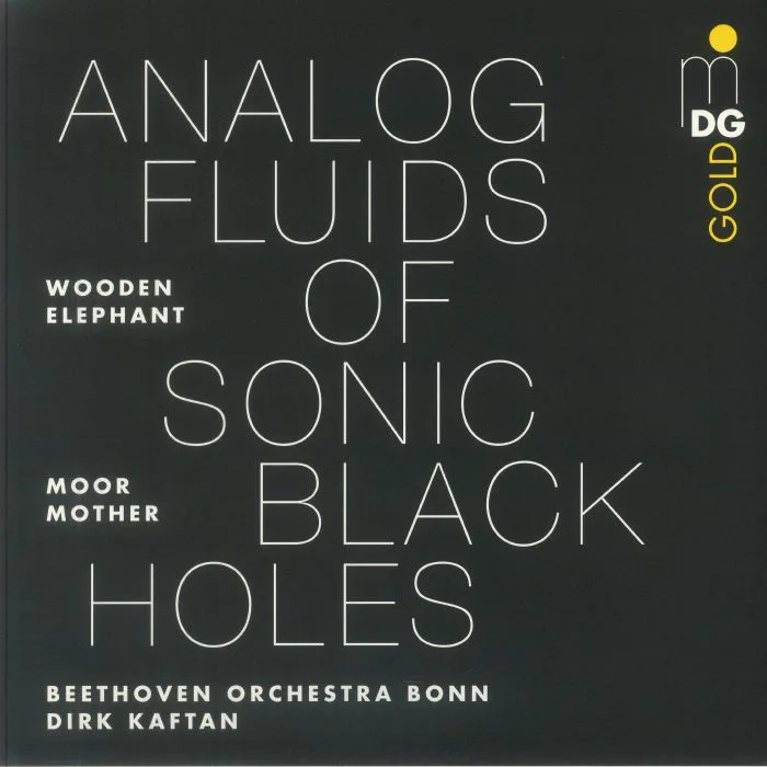 MOOR MOTHER / WOODEN ELEPHANT / DIRK KAFTAN / BEETHOVEN ORCHESTER BONN — Analog Fluids Of Sonic Black Holes