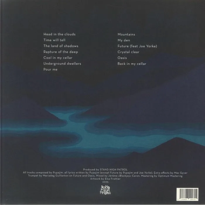 Back cover — STAND HIGH PATROL — Underground Oasis