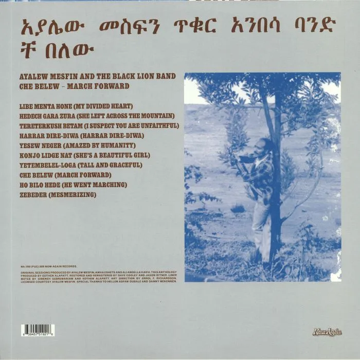 Back cover — Ayalew MESFIN — Che Belew (March Forward)