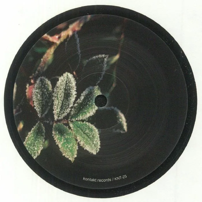 Лицевая сторона обложки — MORPHOLOGY — Lakeland Dubs EP