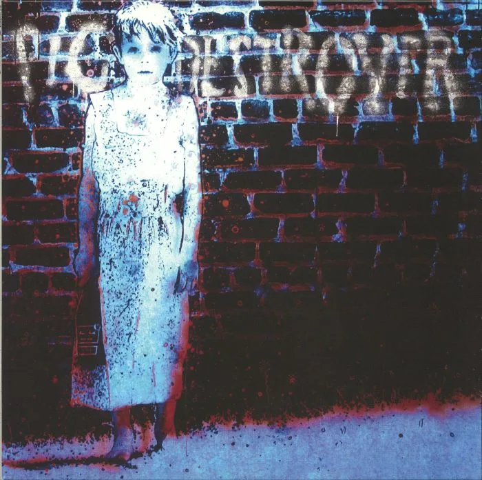 PIG DESTROYER — Book Burner