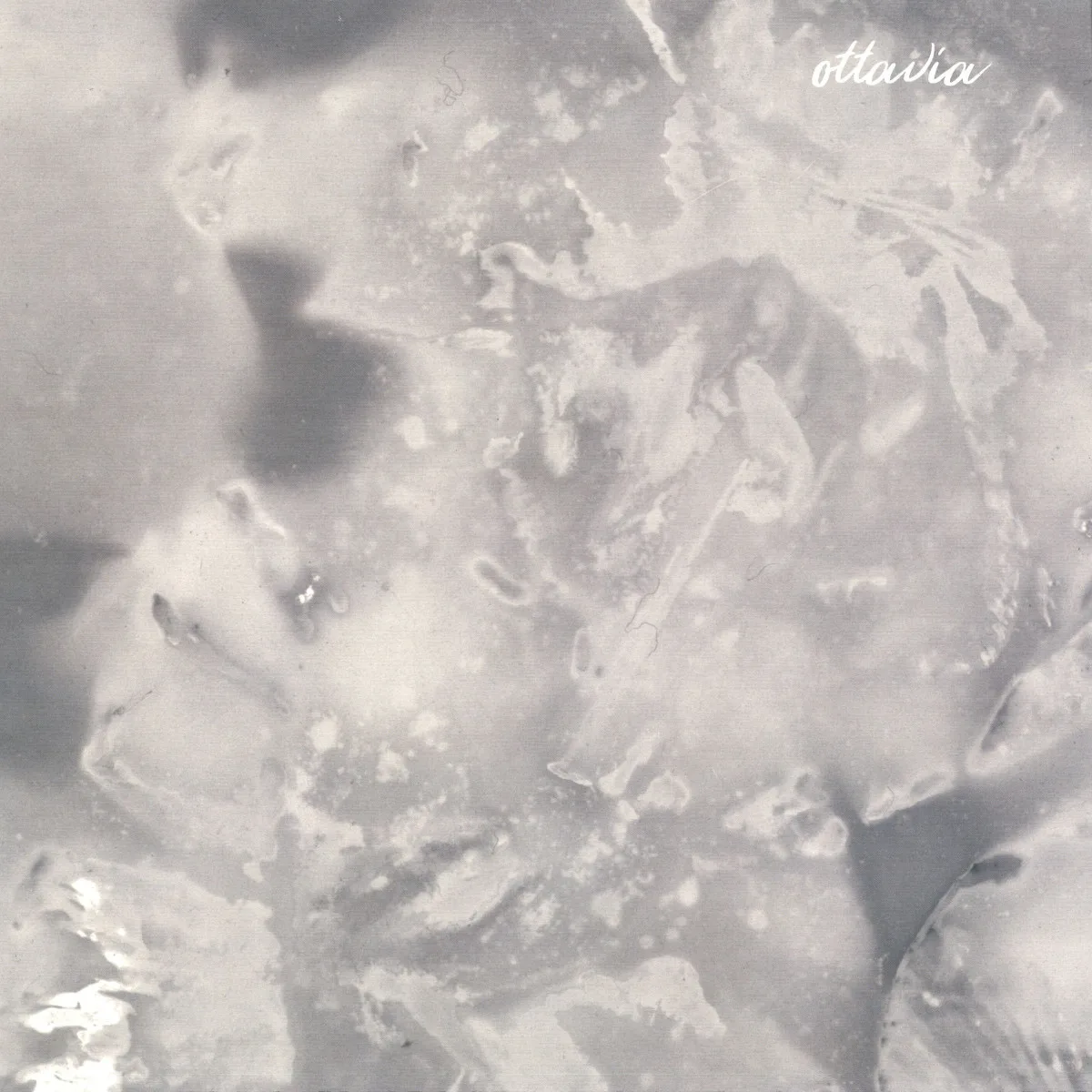 G.i.n.o. — Alucinogeno