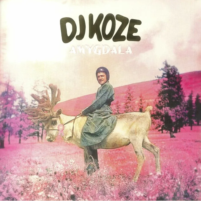 Front cover — DJ KOZE — Amygdala (10th Anniversary Edition)