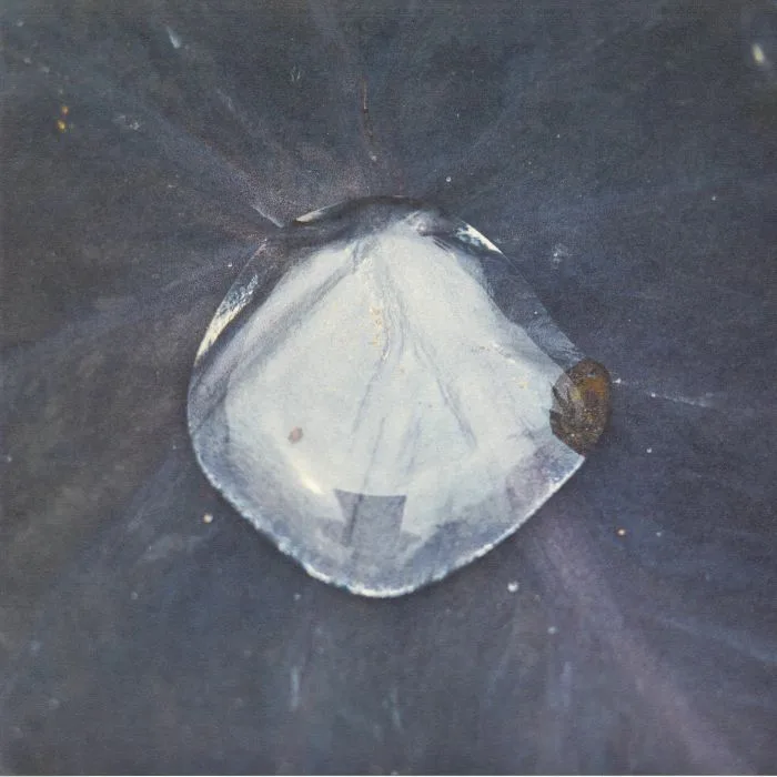 Лицевая сторона обложки — KONDUKU — Sarmal