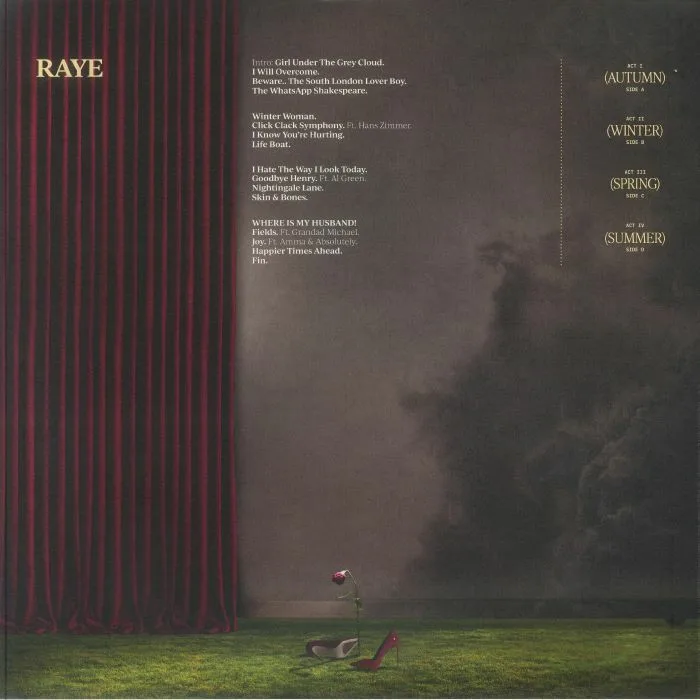 Back cover — RAYE — This Music May Contain Hope (B-STOCK)