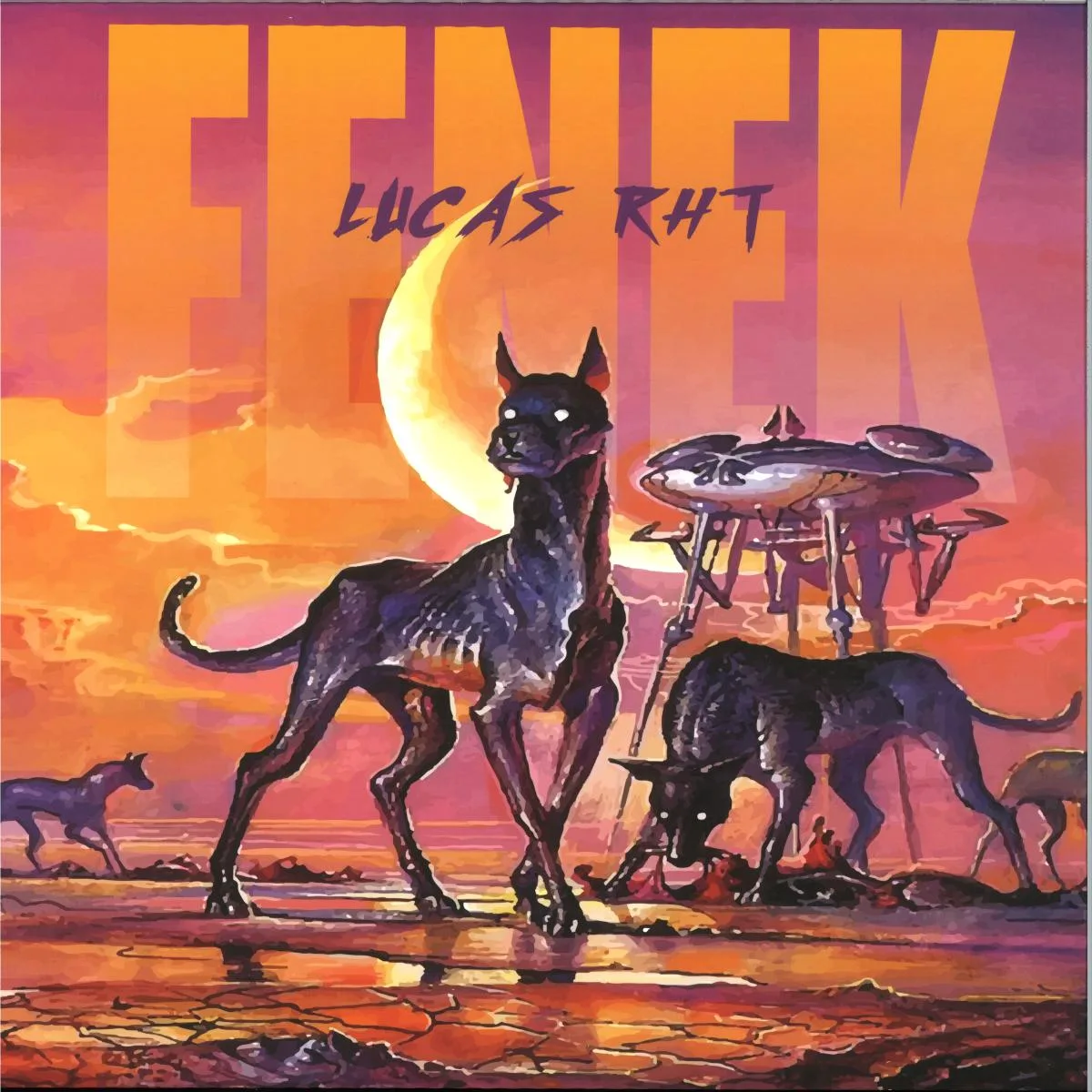 Обратная сторона обложки — Lucas RHT — Fenek X