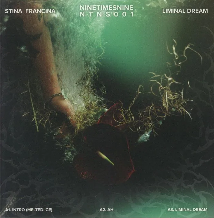 Лицевая сторона обложки — Stina FRANCINA — Liminal Dream