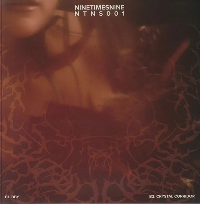 Обратная сторона обложки — Stina FRANCINA — Liminal Dream