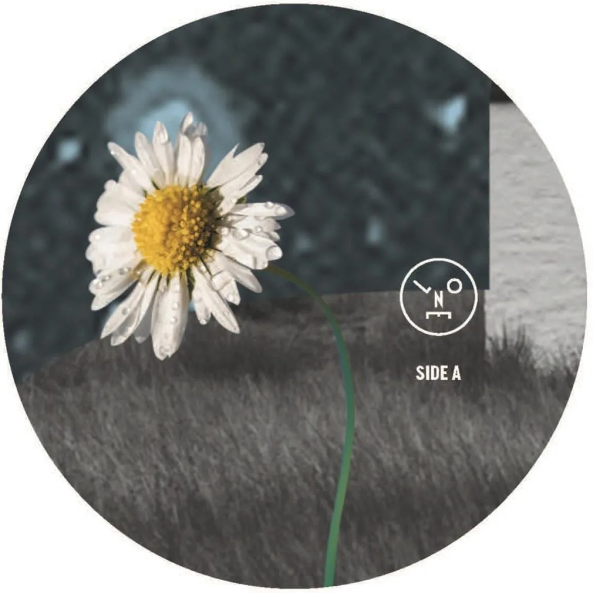 Front cover — Sasha — Hollow Sun