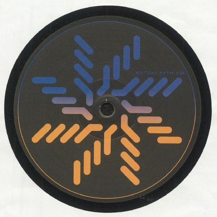 Back cover — HUMAN SAFARI — Culture Shock