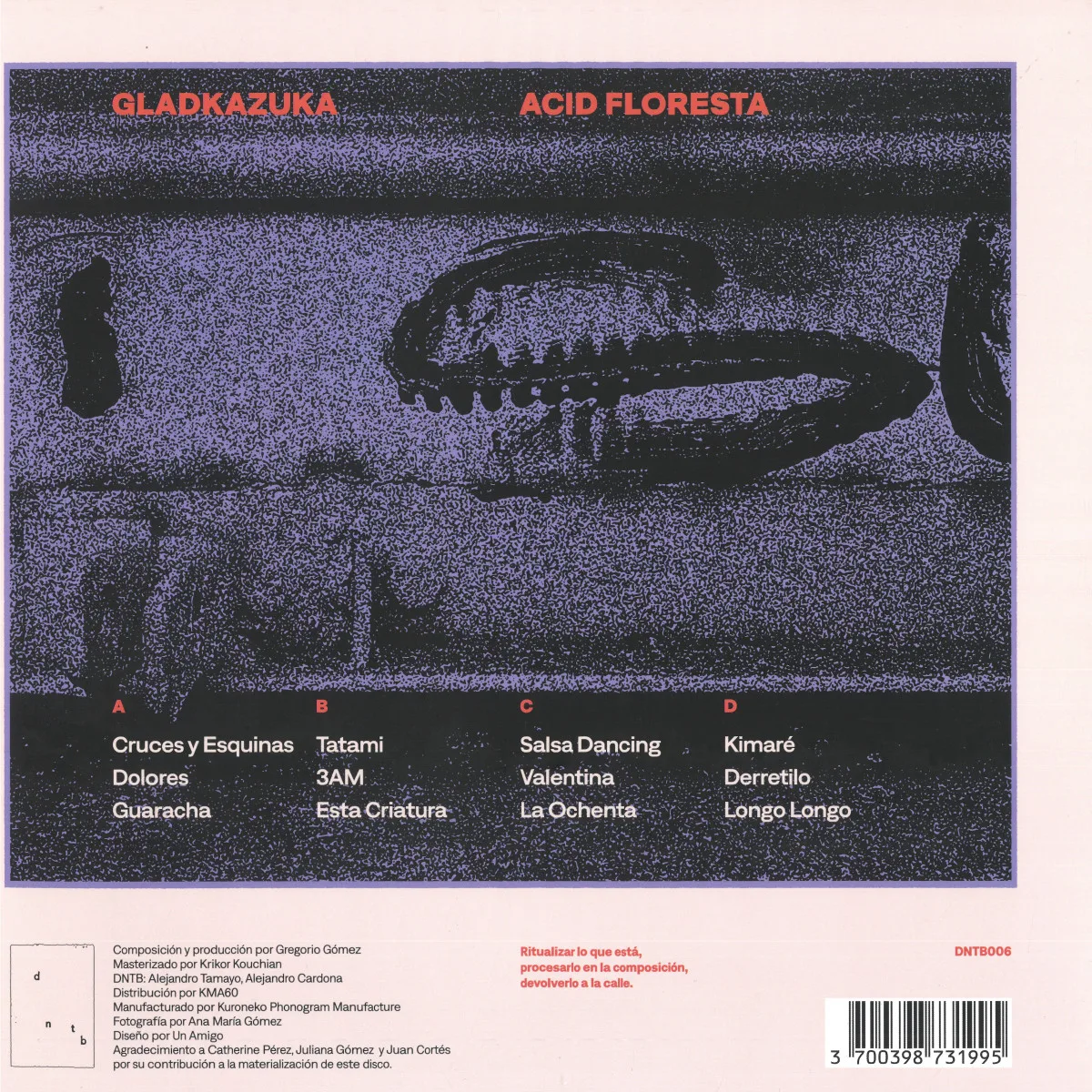 Back cover — Gladkazuka — Acid Floresta 2x12"